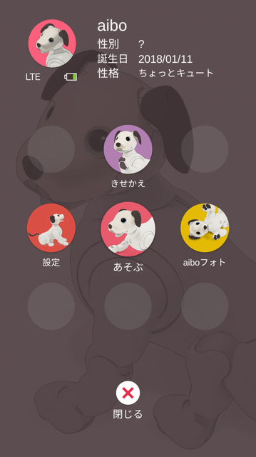 新型「aibo（アイボ）」が届いてまずやること、初期設定方法とは？