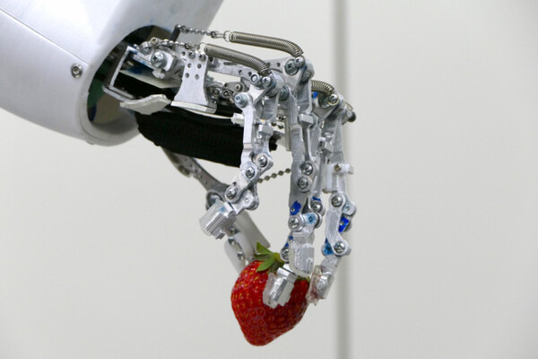都立産業技術高専とダブル技研、NEDOプロでロボットハンドを開発　協調リンクとなじみ機構でしっかりと高精度に