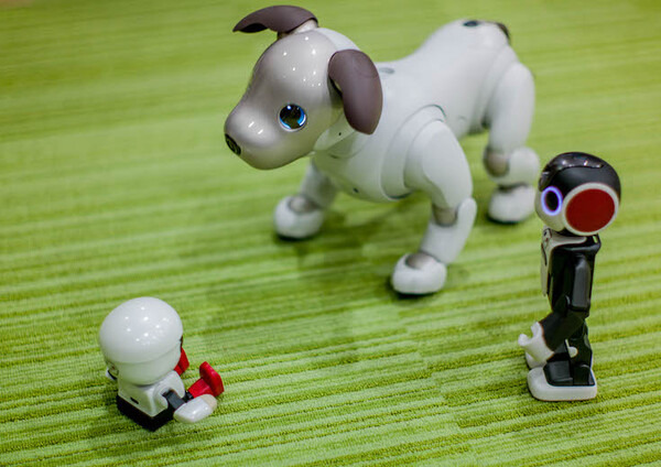【レビュー】SONYの犬型ロボット「aibo（アイボ）」と散歩行ってきた！