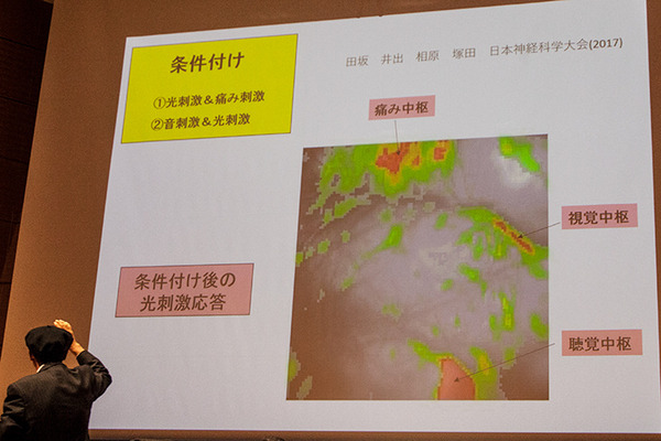 「心を持ったロボットは作れるか」「超快適空間の実現にAIと音楽と映像の役割とは」玉川大学AIBot研究センターのパネル討論