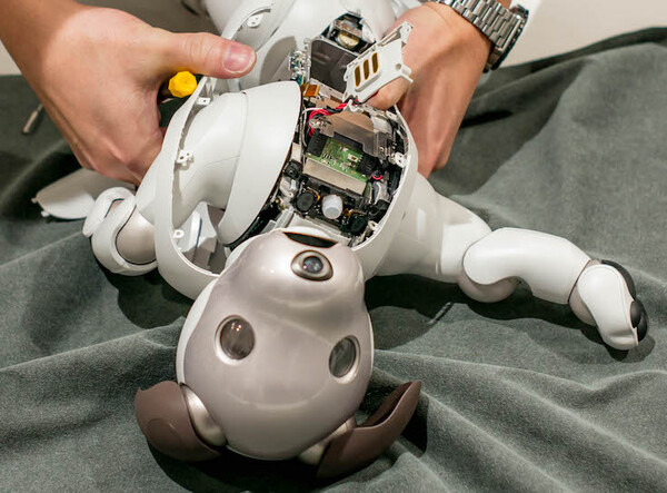 【aibo 解体新書】ソニーの本気を見た！ 新型aibo分解レポート