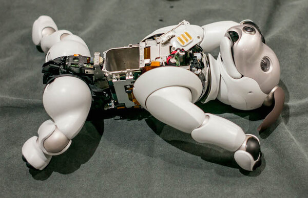 【aibo 解体新書】ソニーの本気を見た！ 新型aibo分解レポート