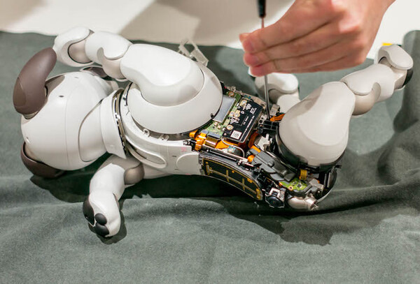 【aibo 解体新書】ソニーの本気を見た！ 新型aibo分解レポート