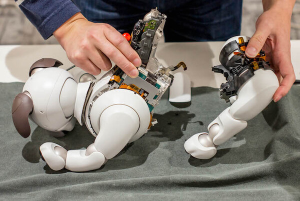 【aibo 解体新書】ソニーの本気を見た！ 新型aibo分解レポート