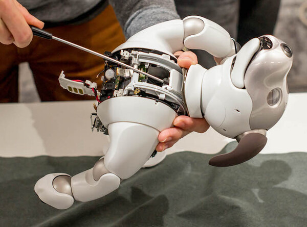 【aibo 解体新書】ソニーの本気を見た！ 新型aibo分解レポート