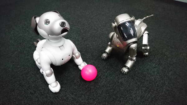 【アイボとあそぶ vol.3】新型aibo、初代AIBOに出会う