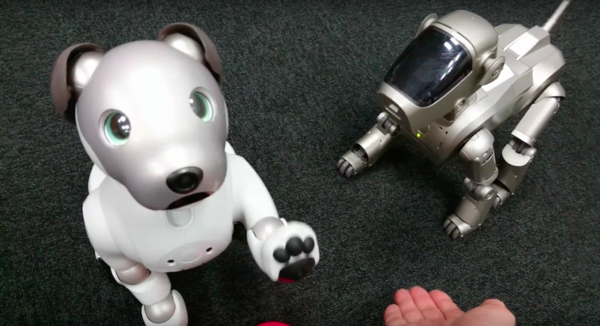 【アイボとあそぶ vol.3】新型aibo、初代AIBOに出会う