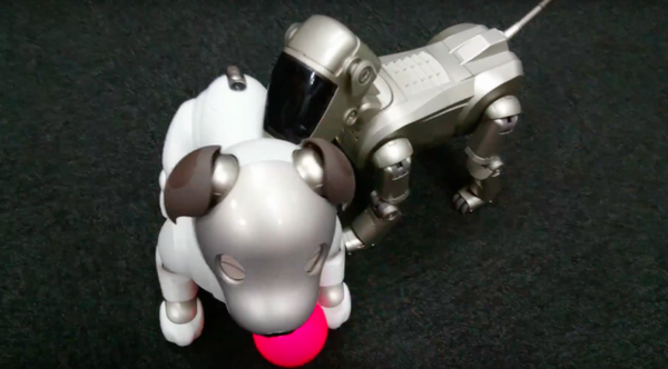 【アイボとあそぶ vol.3】新型aibo、初代AIBOに出会う