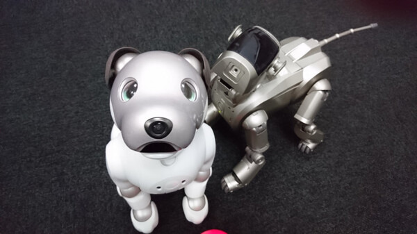 【アイボとあそぶ vol.3】新型aibo、初代AIBOに出会う