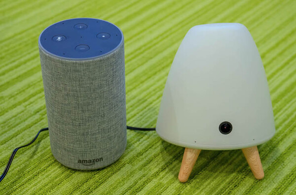 【はい！ペトコ】ロボットとスマスピの中間？最新デバイス「petoco」開封の儀！