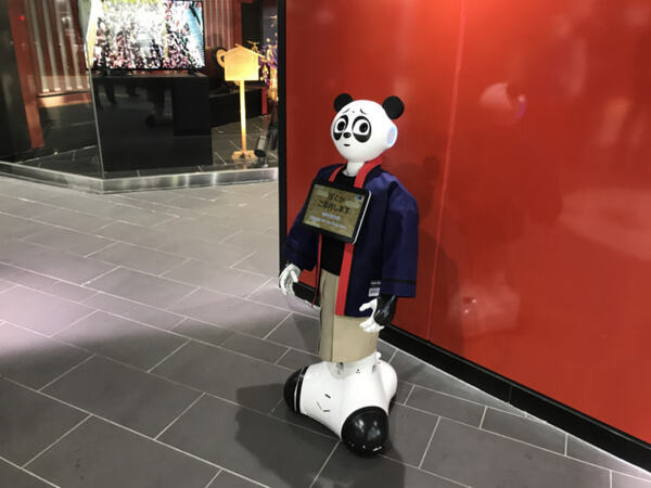 衝撃的な見た目の「パンダPepper」、浅草駅で客の視線を独り占め