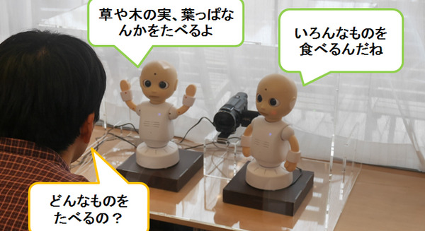 <p>シェア 0 ツイート 0 はてブ 0</p>