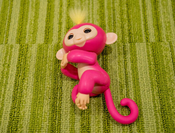 全米で大人気！ サル型ホビーロボット「Fingerlings（ハグミン）」レビュー