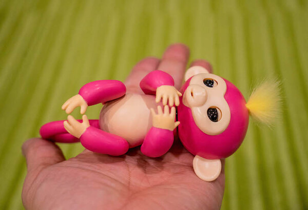 全米で大人気！ サル型ホビーロボット「Fingerlings（ハグミン）」レビュー