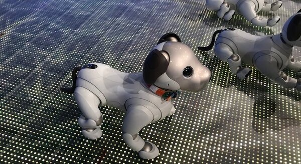 <p>シェア 0 ツイート 0 はてブ 0</p>