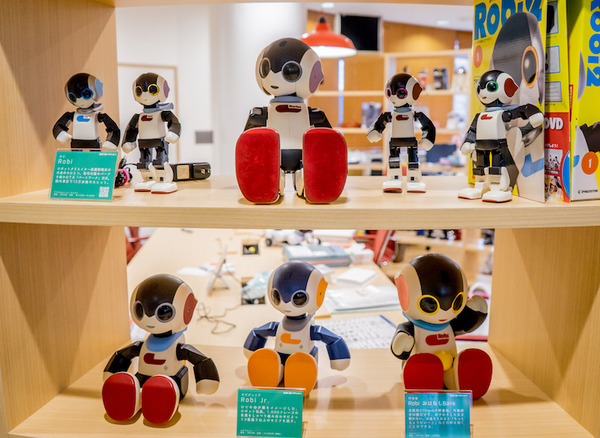 お喋りする小型ロビが1万円　「マイルームロビ」は明日2月28日発売
