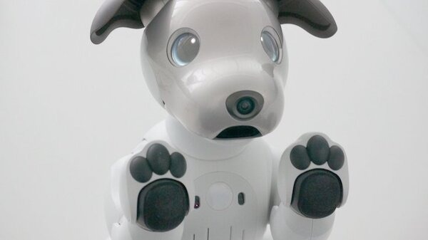 ソニーaibo専用の「足裏パッド」を発売予告。これでカタカタ音がなくなる !?