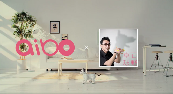 「aibo」コラボ企画第一弾「aibo×石野卓球」の動画が公開