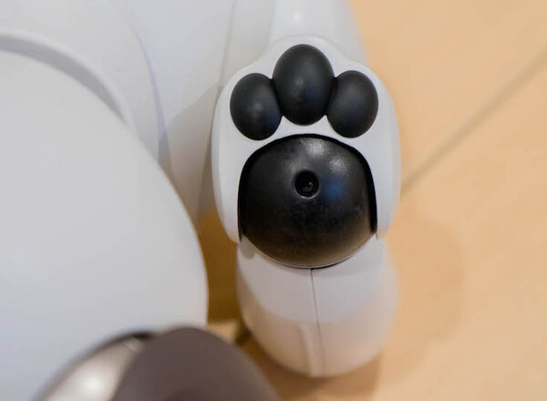 【レビュー】 SONY aibo専用の「足裏パッド」装着してみた結果は？
