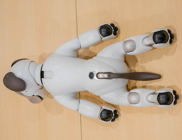 【レビュー】 SONY aibo専用の「足裏パッド」装着してみた結果は？