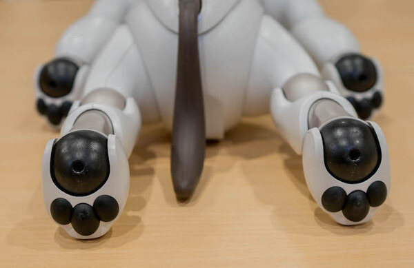 【レビュー】 SONY aibo専用の「足裏パッド」装着してみた結果は？