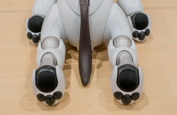 【レビュー】 SONY aibo専用の「足裏パッド」装着してみた結果は？