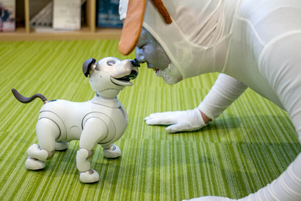ロボットスタートが次世代ペットロボット型人間「アイポ（aipo）」を開発！