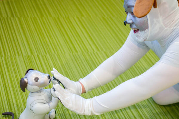 ロボットスタートが次世代ペットロボット型人間「アイポ（aipo）」を開発！