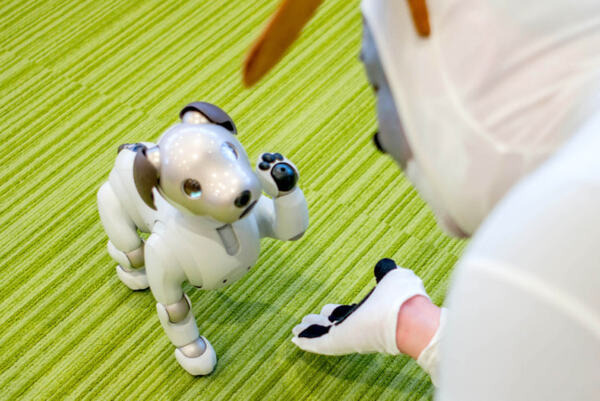 ロボットスタートが次世代ペットロボット型人間「アイポ（aipo）」を開発！