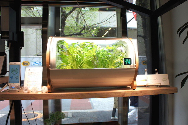 本日発売のNTTドコモ「シンプルマイク」を購入！ 開封の儀