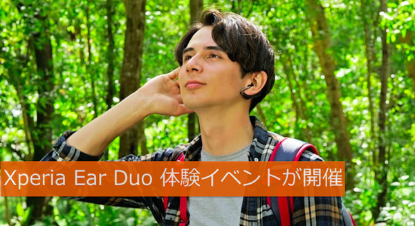 <p>シェア 0 ツイート 0 はてブ 0</p>