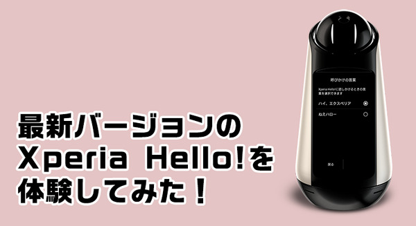 <p>シェア 0 ツイート 0 はてブ 0</p>