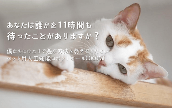 ペット向け人工知能ロボットボール「COCOMI」、Makuakeで資金調達中！ 1400%超えの大人気
