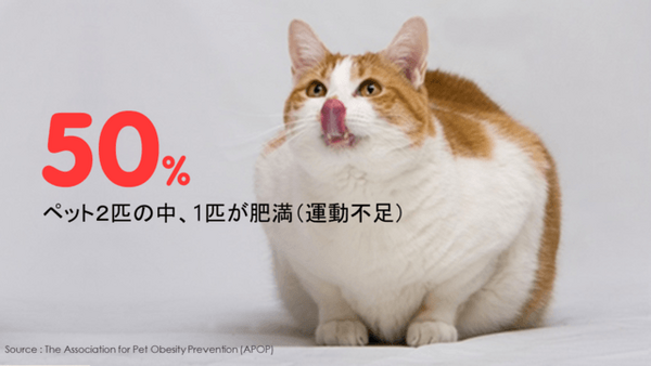 ペット向け人工知能ロボットボール「COCOMI」、Makuakeで資金調達中！ 1400%超えの大人気