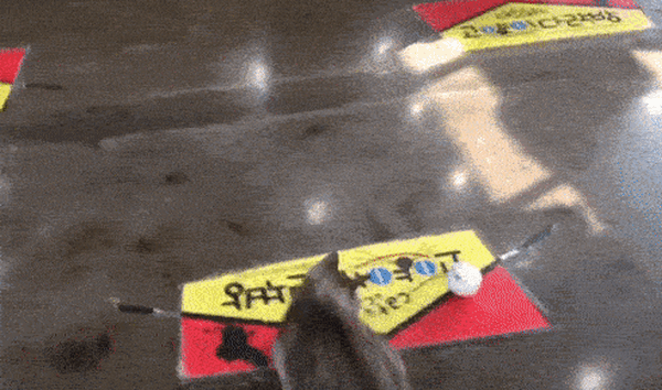 ペット向け人工知能ロボットボール「COCOMI」、Makuakeで資金調達中！ 1400%超えの大人気