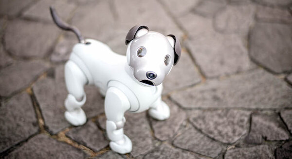 <p>シェア 0 ツイート 0 はてブ 0</p>