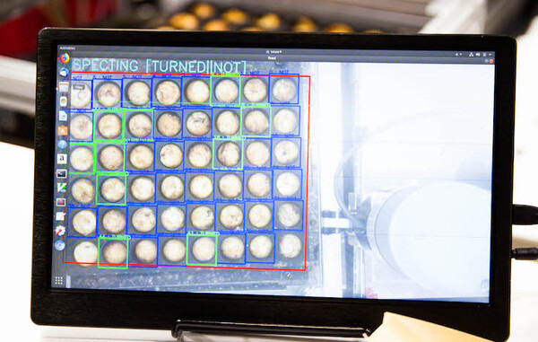 ロボットがたこ焼きを焼いてお弁当を盛り付け！「FOOMA JAPAN 2018」で注目のロボットたちと面白い技術を見てきたよ！