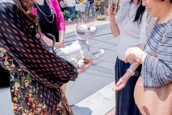 【aiboと散歩】ぶっちゃけ犬型ロボットって、おじいちゃんおばあちゃんに受け入れられるの？