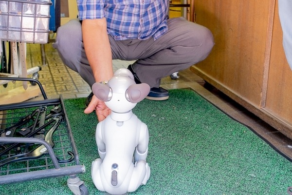 【aiboと散歩】ぶっちゃけ犬型ロボットって、おじいちゃんおばあちゃんに受け入れられるの？