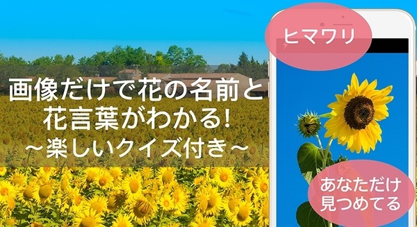 <p>シェア 0 ツイート 0 はてブ 0</p>