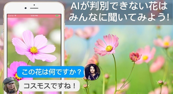 【花の名前教えて】写真を送信するとAIが花の名前と花言葉を教えてくれるアプリ「FLOWERY」、３万ダウンロードを突破