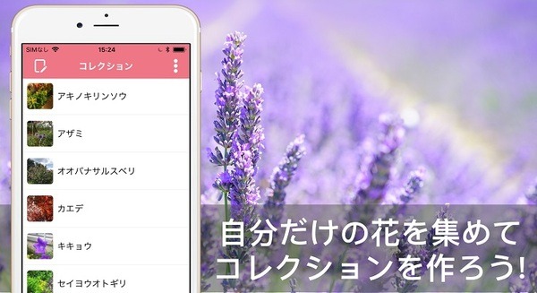 【花の名前教えて】写真を送信するとAIが花の名前と花言葉を教えてくれるアプリ「FLOWERY」、３万ダウンロードを突破
