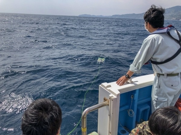 小型水中ドローンが深海1,000mに到達！ウナギやクラゲなど深海生物15種類の撮影に成功、動画も公開