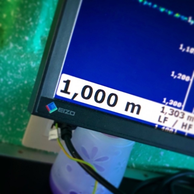 小型水中ドローンが深海1,000mに到達！ウナギやクラゲなど深海生物15種類の撮影に成功、動画も公開