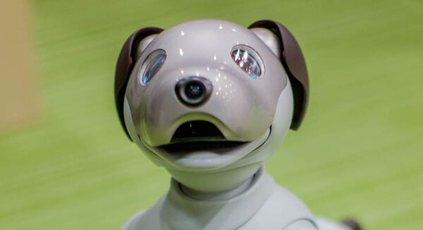 <p>シェア 0 ツイート 0 はてブ 0</p>