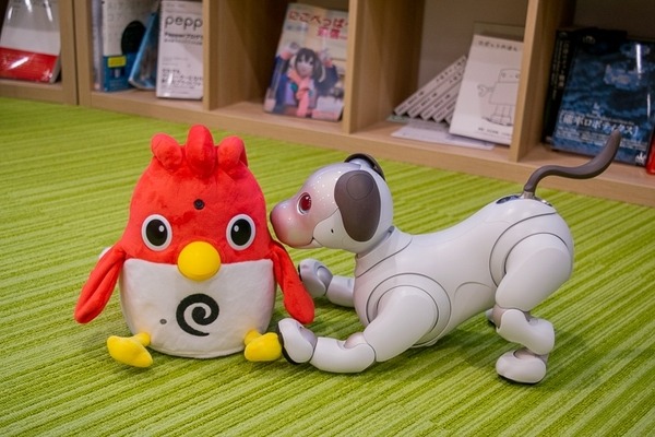 英会話ロボット「Charpy（チャーピー）」開封の儀！ aiboも興味津々