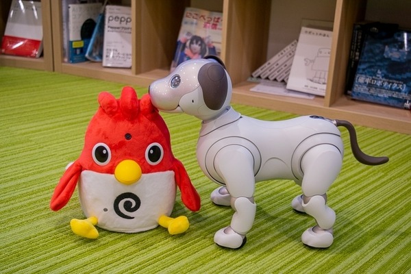 英会話ロボット「Charpy（チャーピー）」開封の儀！ aiboも興味津々