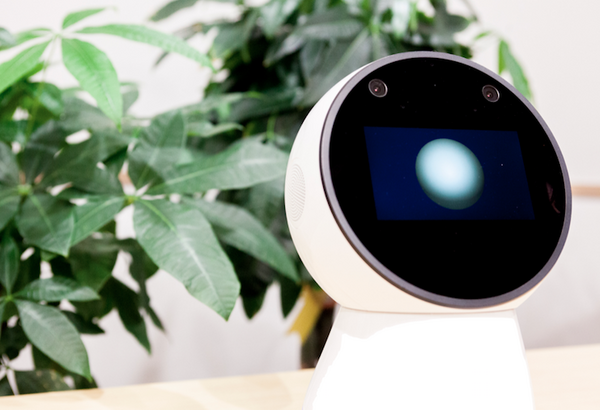 家庭用ロボット開発のJibo社が2度のレイオフを実施　話題のロボットがなぜ苦境に？