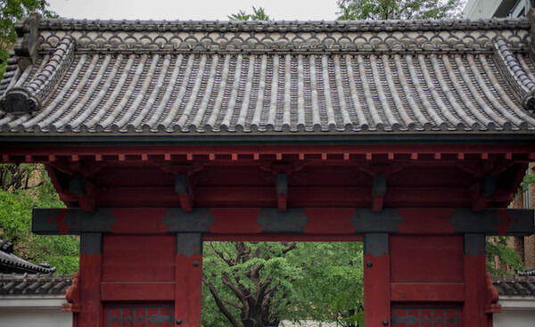 東京大学制作展 Extra 2018「Dest-logy」レポート #iiiEx