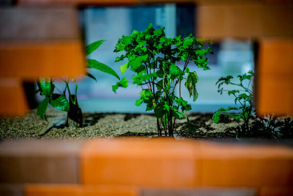 東京大学制作展 Extra 2018「Dest-logy」レポート #iiiEx